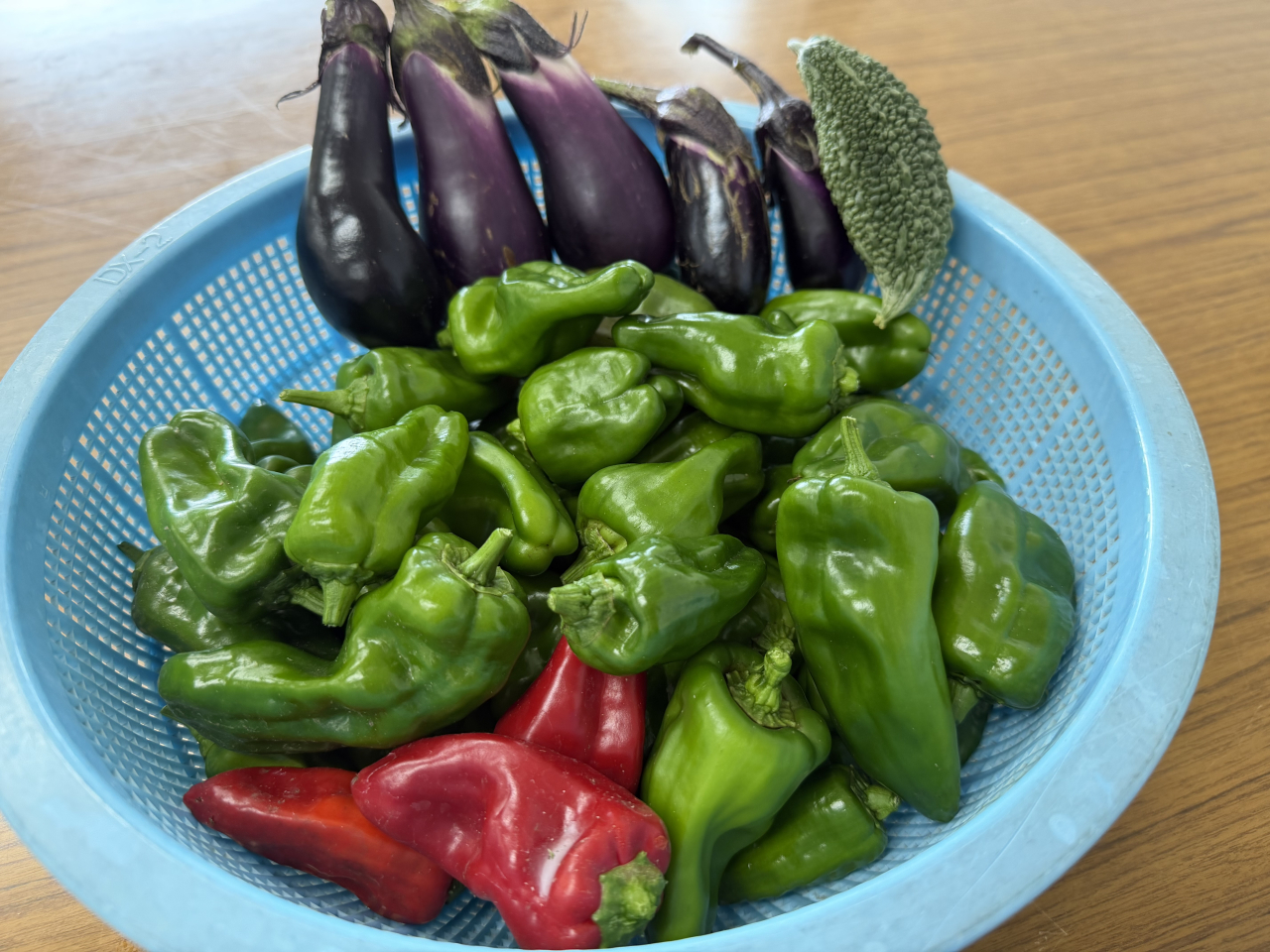 秋ですね